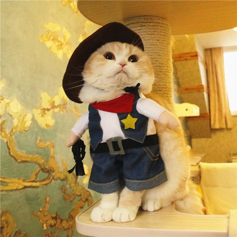 Adorable cat dressed in a cowboy costume, complete with hat, vest, and boots, perfect for fun pet dress-up.