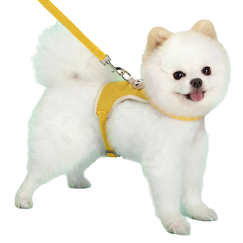 Cute Bear Pet Harness Leash Set