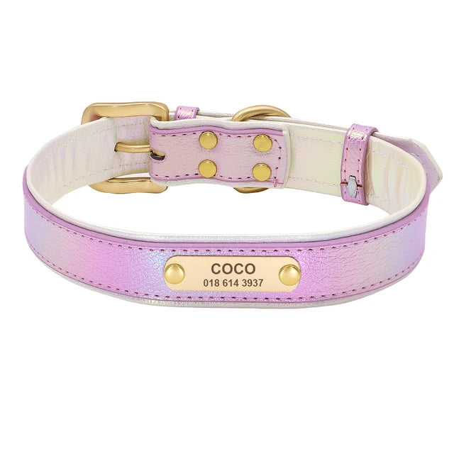 Personalized Collar with Nameplate for Pets