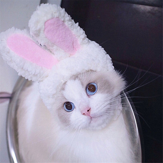 Funny Easter Cute Costume Bunny Hat for pets