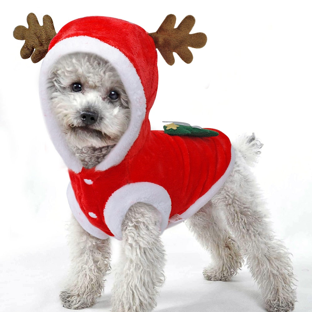 Christmas Dog Santa Costume