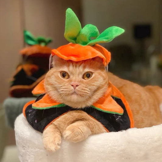 Halloween Pumpkin Pet Cloak