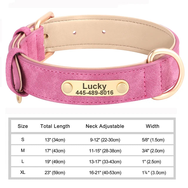 Personalized Collars for Dog with Free Engraved Nameplate