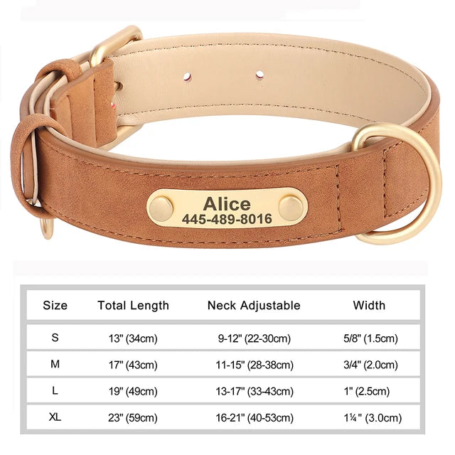 Personalized Collars for Dog with Free Engraved Nameplate