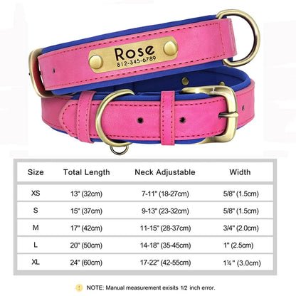 Personalized Collars for Dog with Free Engraved Nameplate