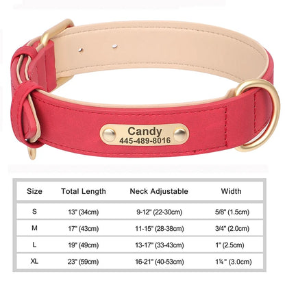 Personalized Collars for Dog with Free Engraved Nameplate