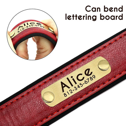 Personalized Collars for Dog with Free Engraved Nameplate