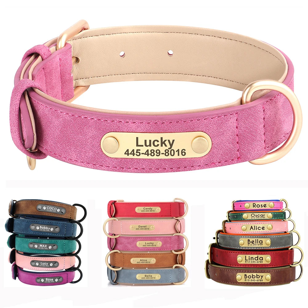 Personalized Collars for Dog with Free Engraved Nameplate