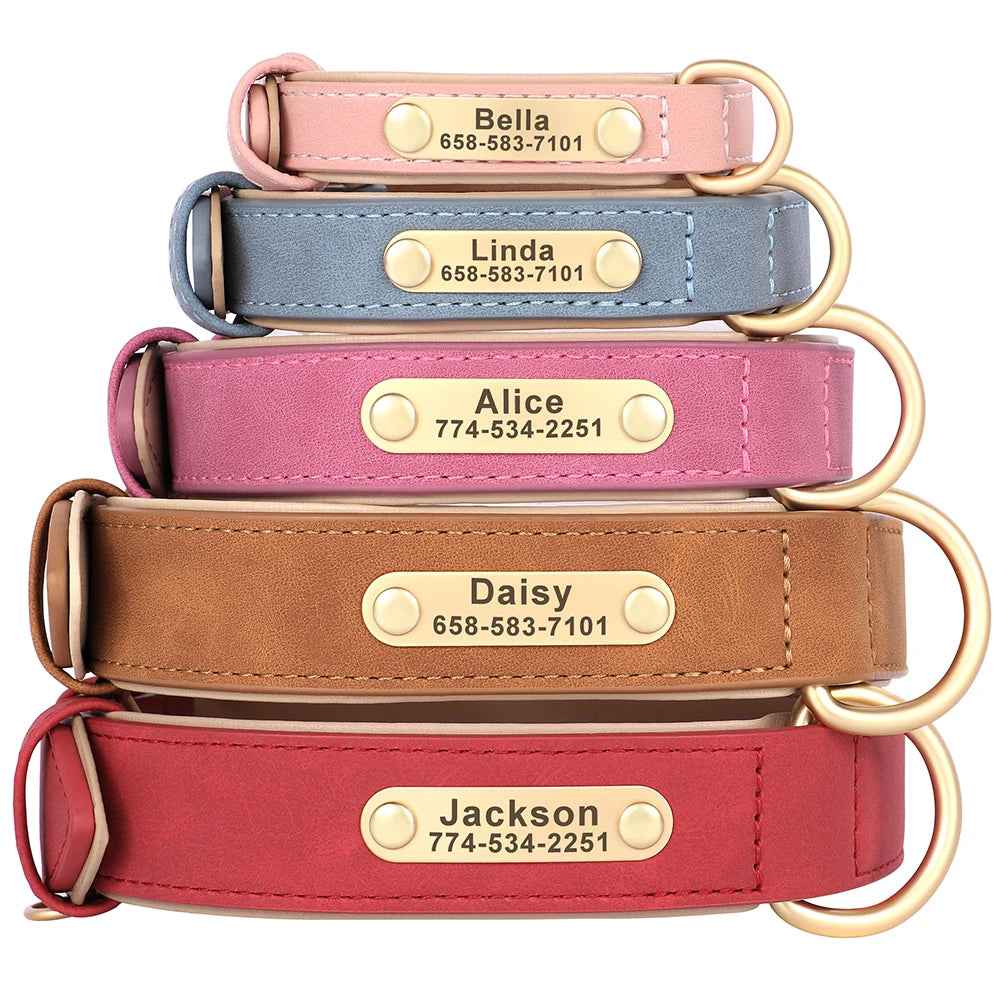 Personalized Collars for Dog with Free Engraved Nameplate