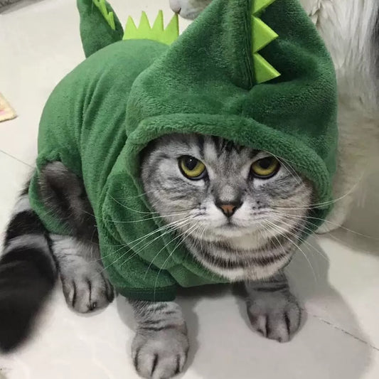 Funny Dinosaur Costumes Suitable For Winter