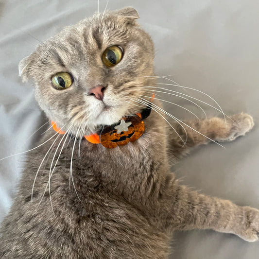 Festive Halloween Collars for Pets: Pumpkin, Moon, Bat, and Hat - Adjustable Sizes