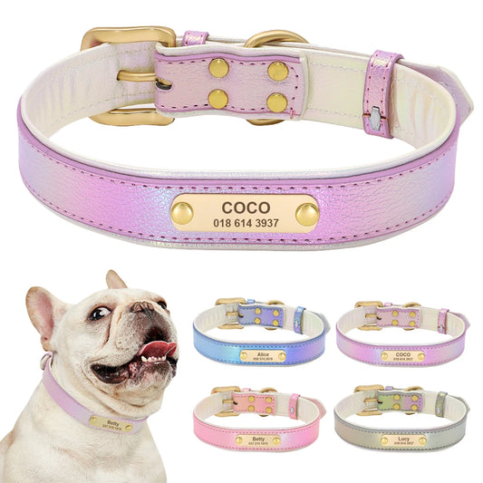 Personalized Collar with Nameplate for Pets