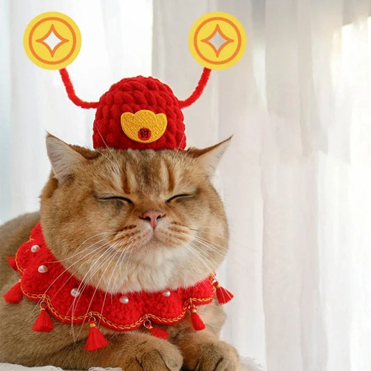 The-God-of-Wealth Pet Hat and Costume Lunar New Year Headgear